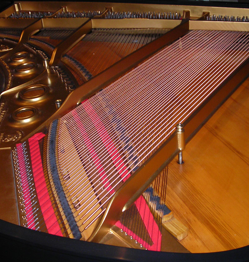 Close up of the new strings on the piano.